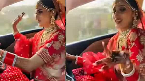 Viral Video: ఈ పెళ్లి కూతురు మామూలు స్పీడ్లో లేదు.. పెళ్లి మండపానికి ఎలా వెళ్లిందంటే.. వీడియో వైరల్..