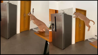 పూనేలో సినిమా తరహా ఛేజింగ్..!! కానిస్టేబుల్‌ను తెగ మెచ్చుకుంటున్న నెటిజన్స్‌.. వీడియో