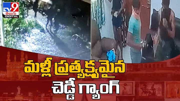 హైదరాబాద్ శివారులో మళ్లీ చెడ్డీగ్యాంగ్ హల్చల్.. సీసీటీవీ కెమెరాల్లో చెడ్డీ గ్యాంగ్ కదలికలు.. వీడియో హైదరాబాద్ శివారులో మళ్లీ చెడ్డీగ్యాంగ్ హల్చల్.. సీసీటీవీ కెమెరాల్లో చెడ్డీ గ్యాంగ్ కదలికలు.. వీడియో
