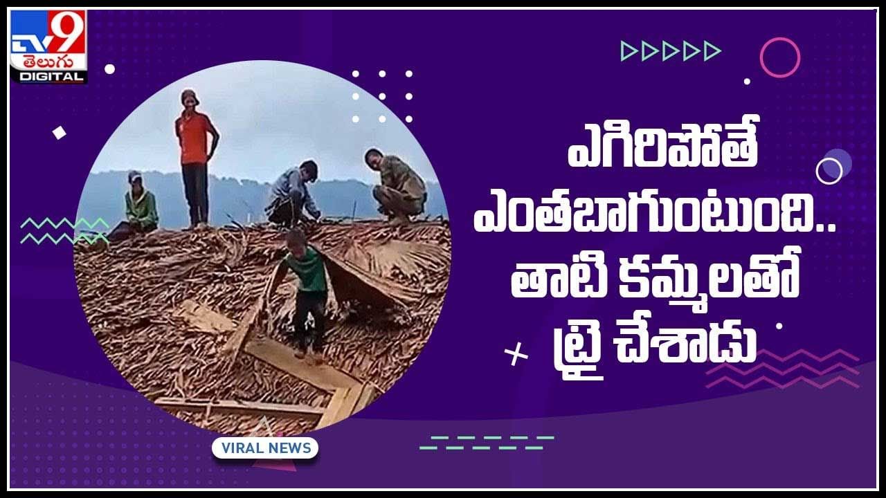 Child fly viral Video: పక్షిలా ఎగరలానుకున్నాడు... చేతులకి తాటి కమ్మలు తగిలించుకొని ట్రై చేశాడు..! చివరకి..? వీడియో వైరల్..