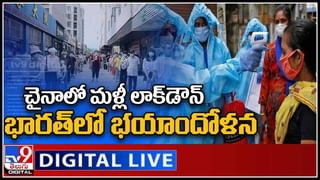 Viral Video: ఈ వీడియో చూస్తే మీ పెంపుడు కుక్కతో అస్సలు జోక్ చేయరు.. ఎందుకో తెలుసా..