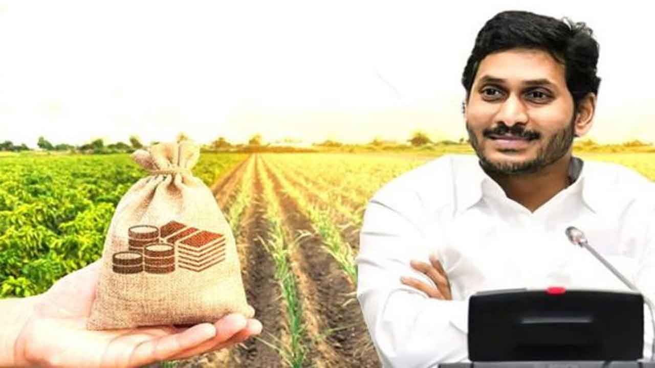 Andhra Pradesh: 'ప్రత్యామ్నాయ పంటలను సాగుచేసే రైతులకు ప్రోత్సాహకాలు'... సీఎం జగన్ ఆదేశాలు