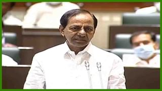 Telangana: రైతన్నలకు గుండెకోత.. విద్యుత్ తీగలు తెగిపడి నాలుగు గేదెలు మృతి