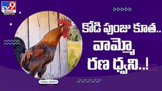 Devil Tree: విశాఖలో దెయ్యం చెట్టు.. హడలిపోతున్న జనాలు.. అసలు మ్యాటర్ ఏంటంటే.. వీడియో