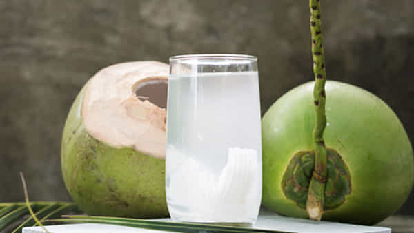 Coconut Water Benefits: కొబ్బరి నీళ్లతో నోటి పూతకు చెక్.. రోజు ఉదయాన్నే తాగితే ప్రయోజనాలు బోలేడు..