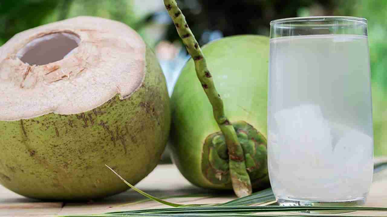 Coconut Water Benefits: ఆరోగ్యానికి కొబ్బరినీరు.. రోజూ తీసుకోవడం వలన కలిగే ప్రయోజనాలు తెలిస్తే వదిలిపెట్టరు!