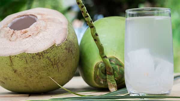 Coconut Water Benefits: ఆరోగ్యానికి కొబ్బరినీరు.. రోజూ తీసుకోవడం వలన కలిగే ప్రయోజనాలు తెలిస్తే వదిలిపెట్టరు!