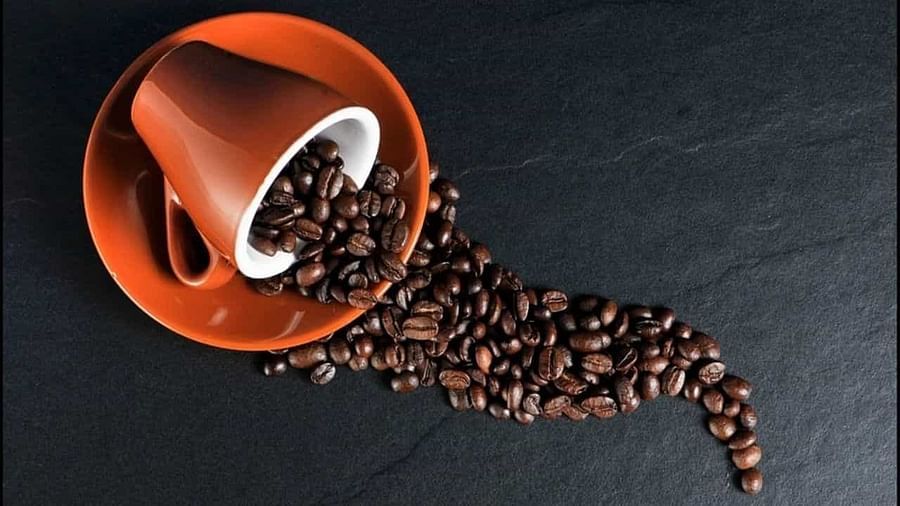 International Coffee Day 2021: కాఫీ పండించే 5 సుందర ప్రదేశాలు..! చూస్తే మైమరచిపోతారు..