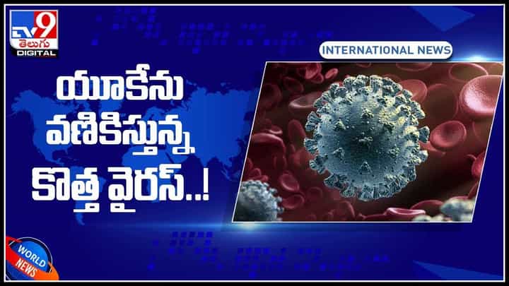Delta Variant AY.4.2: యూకేను వణికిస్తున్న డెల్టా వేరియంట్ AY4.2.. ఒక్కరోజే 52 వేలకు పైగా కేసులు నమోదు.. (వీడియో) Delta Variant AY.4.2: యూకేను వణికిస్తున్న డెల్టా వేరియంట్ AY4.2.. ఒక్కరోజే 52 వేలకు పైగా కేసులు నమోదు.. (వీడియో)