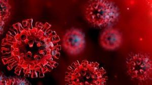 Coronavirus: కరోనా కల్లోలంలో ఉక్కిరిబిక్కిరవుతున్న జనాలకు ఊరట.. 6 నెలల్లో మహమ్మారి అంతం