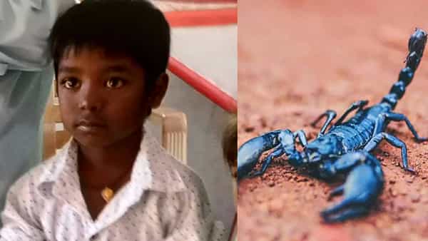 Crime News: స్కూలుకు వెళ్లొస్తానమ్మా అంటూ వెళ్లాడు.. అవే చివరి మాటలయ్యాయి.. తేలు కాటేయ్యడంతో..