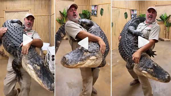 Viral Video: చిన్నపిల్లలా మొసలిని ఎత్తుకున్న వ్యక్తి.. వీడియో చూస్తే పొట్ట చక్కలయ్యేలా నవ్వడం ఖాయం.!