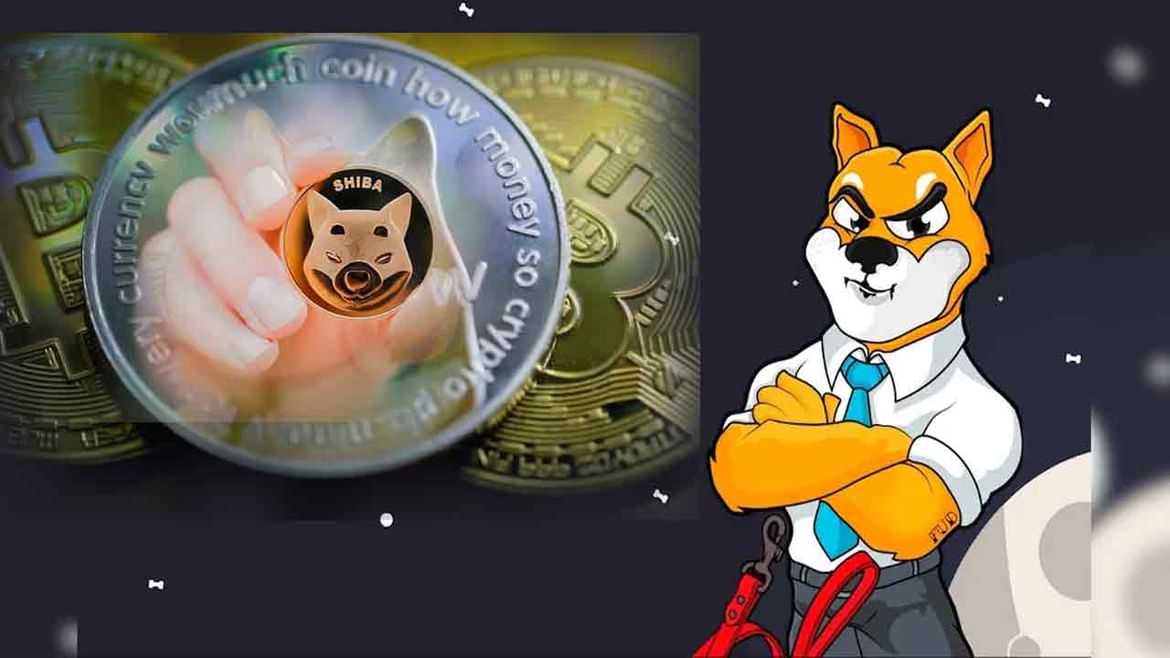 Shiba Inu: Runs Beyond Bitcoin .. Shiba Inu Grows 260 Percent .. You Too ..