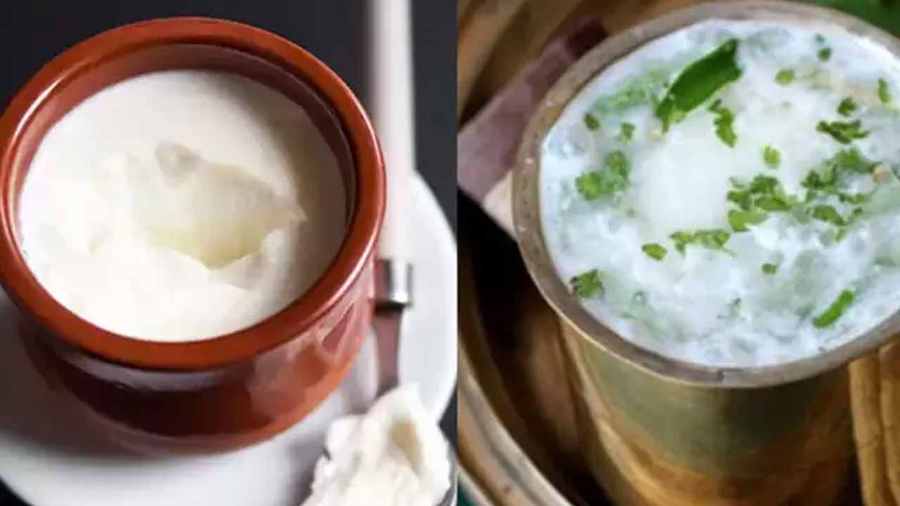 Curd Vs Buttermilk: పెరుగు బెస్టా.. మజ్జిగ బెటరా.! ఈ ప్రయోజనాలు తెలిస్తే అస్సలు వదిలిపెట్టరు..