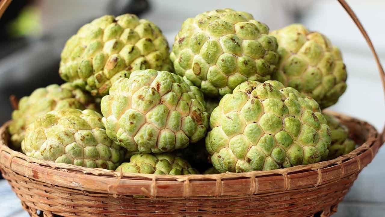 Custard Apple Benefits: సీతాఫలాలతో అదిరిపోయే బెనిఫిట్స్‌.. డయాబెటిస్‌, గుండె జబ్బులున్నవారు తినొచ్చా..?