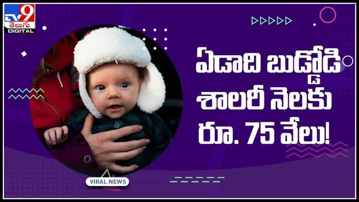 Travel influencer: ఏడాది బుడ్డోడు.. నెలకు రూ. 75 వేలు సంపాదిస్తున్నాడు..! వైరల్ అవుతున్న వీడియో.. Travel influencer: ఏడాది బుడ్డోడు.. నెలకు రూ. 75 వేలు సంపాదిస్తున్నాడు..! వైరల్ అవుతున్న వీడియో..