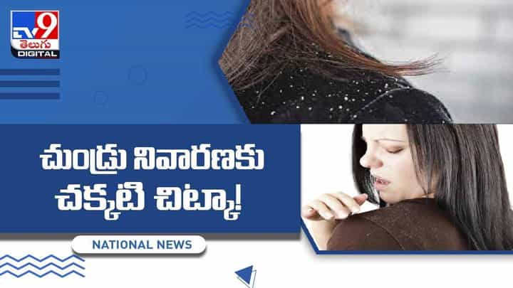 చుండ్రు సమస్యకు చక్కటి పరిష్కారం.. నిల్వ చేసుకున్న పొడిని షాంపులాగా వాడితే ఫలితం.. వీడియో చుండ్రు సమస్యకు చక్కటి పరిష్కారం.. నిల్వ చేసుకున్న పొడిని షాంపులాగా వాడితే ఫలితం.. వీడియో