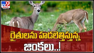 Tirupati Rain: తిరుపతిలో అర్ధరాత్రి వర్ష బీభత్సం..  నీళ్లలో నిల్చిపోయిన వాహనం ఊపిరాడక యువతి మృతి..(వీడియో)