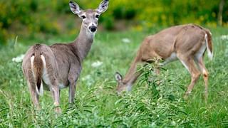 Huzurabad Bypoll: సీఎం డైరెక్షన్‌లోనే కేంద్ర మంత్రిపై దాడికి యత్నం.. టీఆర్ఎస్‌పై మండిపడిన బండి సంజయ్..