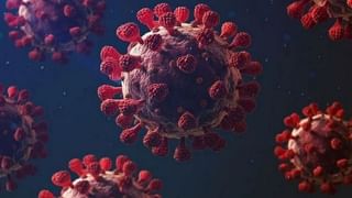 Guggul Uses: కీళ్లనొప్పులు, మెడ నొప్పితో తీవ్ర ఇబ్బంది పడుతున్నారా.. అయితే గుగ్గులు ఉపయోగించి చూడండి ..