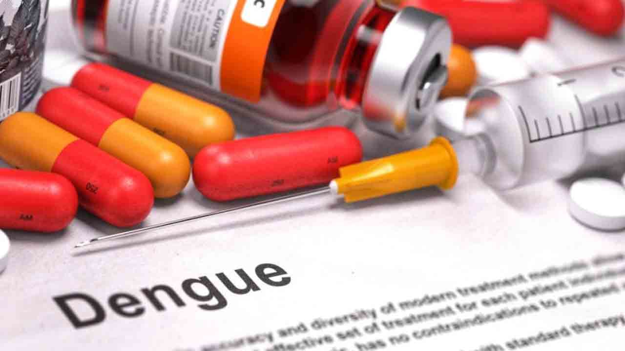 Dengue Drug: వైద్యరంగంలో మరో ముందడుగు.. డెంగ్యూకి డ్రగ్‌.. అభివృద్ధి చేసిన సీడీఆర్‌ఐ.. వివరాలు..