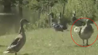 Scooty fires video: అర్ధరాత్రి స్కూటీలో మంటలు.. ఎందుకు జరిగిందో తెలియక అయోమయంలో యజమాని.. (వీడియో)