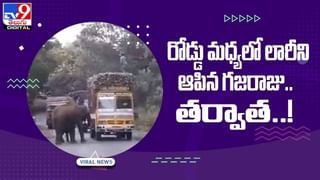 Viral Video: దుబాయ్‌లో మనోళ్ళకు తగిలిన రూ. 20 కోట్ల లాటరీ! వీడియో