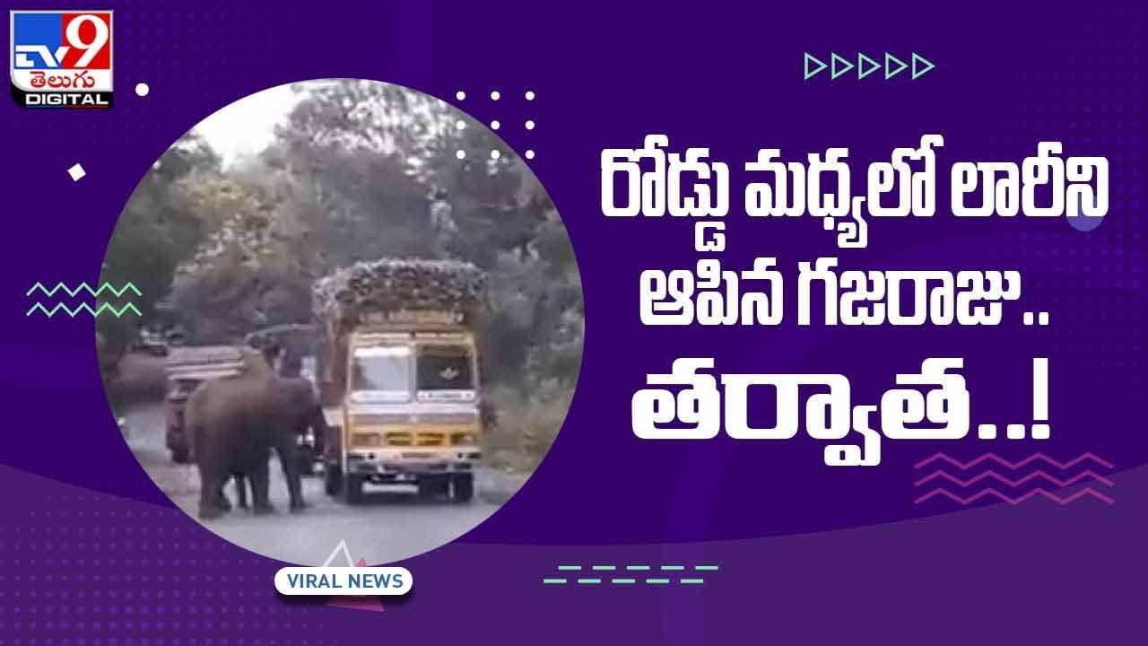 Viral Video: రోడ్డు మధ్యలో లారీని ఆపిన గజరాజు.. తర్వాత..?? వీడియో