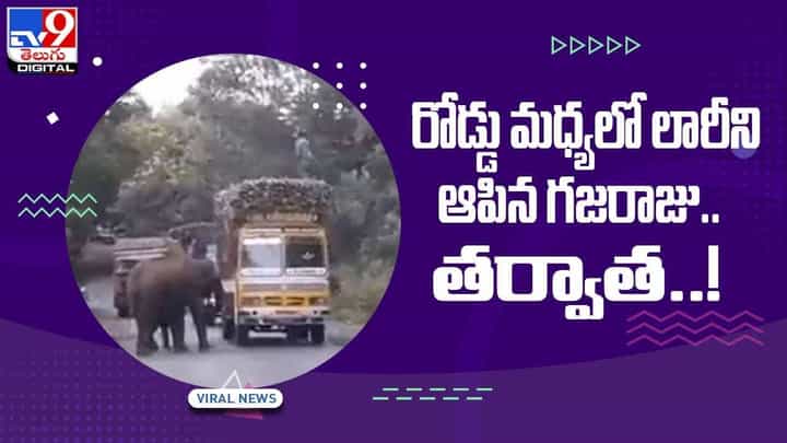 Viral Video: రోడ్డు మధ్యలో లారీని ఆపిన గజరాజు.. తర్వాత..?? వీడియో Viral Video: రోడ్డు మధ్యలో లారీని ఆపిన గజరాజు.. తర్వాత..?? వీడియో