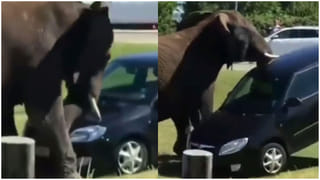 Long Hair: ముంబైకి చెందిన ఆకాంక్ష జుట్టుకు వరల్డ్‌ రికార్డ్‌.. వీడియో