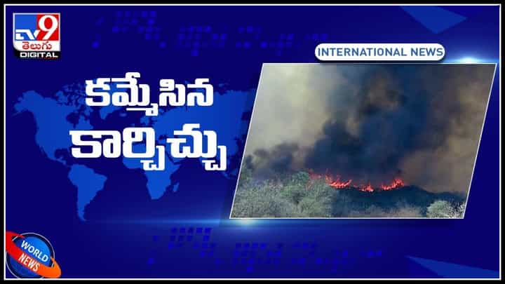 Fire Accident Argentina: అర్జెంటీనా దేశాన్ని కమ్మేసిన కార్చిచ్చు.. అటవీ సంపద ఆగ్నికి ఆహుతి..(వీడియో) Fire Accident Argentina: అర్జెంటీనా దేశాన్ని కమ్మేసిన కార్చిచ్చు.. అటవీ సంపద ఆగ్నికి ఆహుతి..(వీడియో)