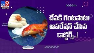 Viral Video: కుక్కర్‌ విజిల్‌కు బదులుగా తుపాకీ..! వీళ్ల తెలివికి జోహార్లు.. వీడియో