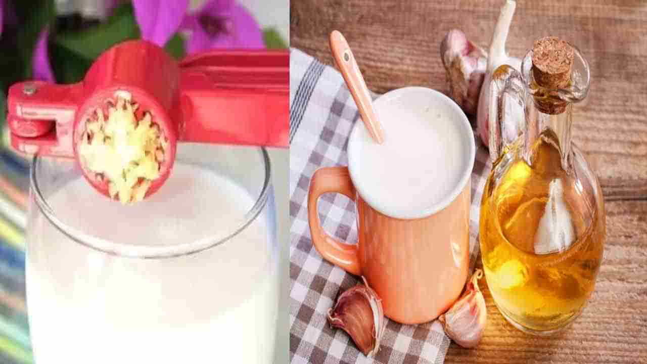 Garlic Milk-Ayurveda: మగవారిలో లైంగిక సామర్ధ్యం, స్త్రీలలో సంతాన వృద్ధికి దివ్యౌషధం.. వెల్లుల్లిపాలతో ఎన్నో ప్రయోజనాలు