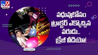 Viral Video: తాటిచెట్టెక్కిన కోతులు..ఏం చేస్తాయి మరీ..? వీడియో