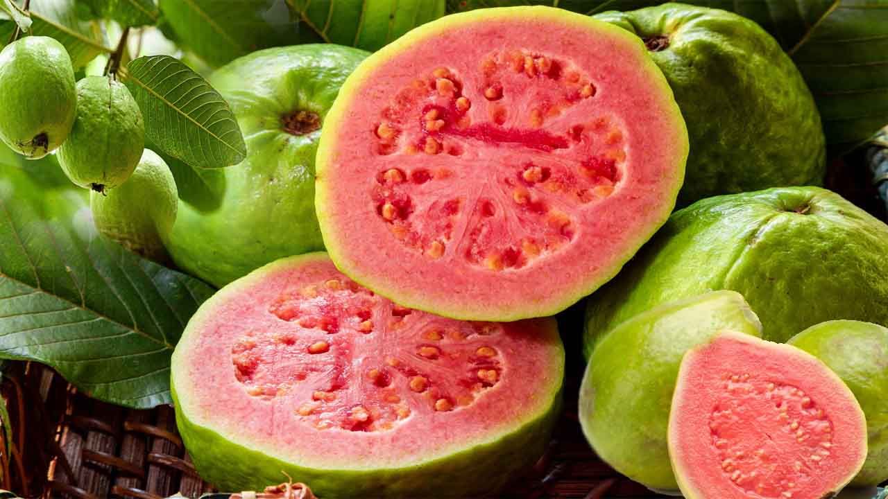 Guava Health Benefits: జామ, ఆకులతో ఇన్ని ఉపయోగాలా..? తెలిస్తే ఆశ్చర్యపోతారు.. పూర్తి వివరాలు..!