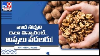 GotuKola plant benifits: అరె.. ఈ మొక్కతో ఇన్ని ప్రయోజనాలా..! అనేక వ్యాధులను నివారించే దివ్య ఔషధం..(వీడియో)