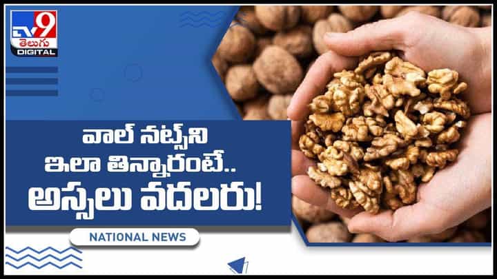 Benefits of Walnuts: వాల్నట్స్తో ఎన్ని లాభాలో... వాల్ నట్స్ని ఇలా తిన్నారంటే.. అస్సలు వదలరు.!(వీడియో) Benefits of Walnuts: వాల్నట్స్తో ఎన్ని లాభాలో... వాల్ నట్స్ని ఇలా తిన్నారంటే.. అస్సలు వదలరు.!(వీడియో)