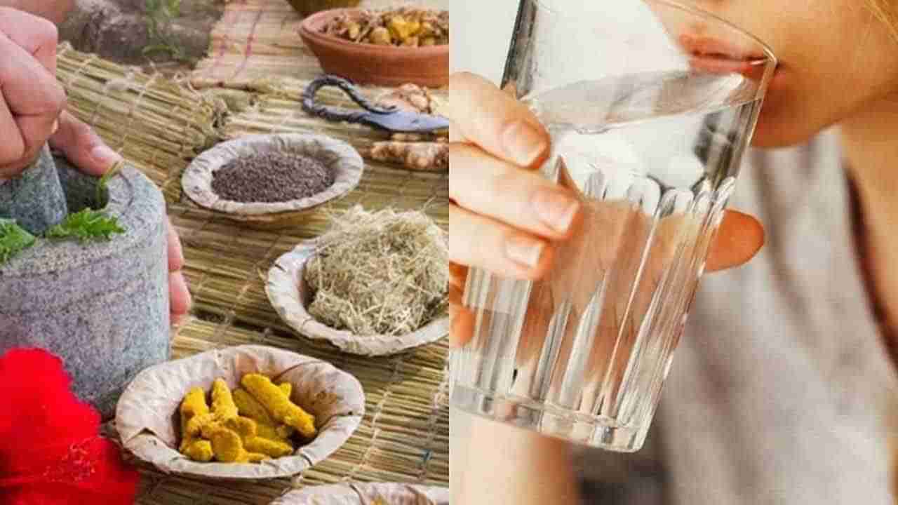 Health Tips: సీజనల్ ఇన్ఫెక్షన్లను నివారించడానికి ఈ 5 హెల్త్ డ్రింక్స్ తాగండి..ఎల్లప్పుడూ ఫిట్గా ఉండండి..
