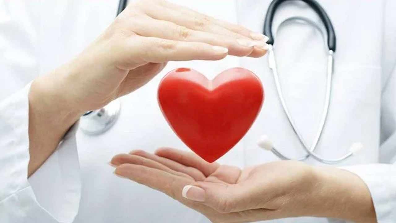 Healthy Heart: ఆరోగ్యకరమైన హృదయానికి 5 ఆయుర్వేద మూలికలు.. అవేంటో ఇప్పుడే తెలుసుకోండి..