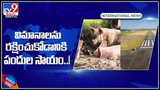 India-USA  Military Video: అలరించిన భారత్‌-అమెరికా సైన్యం యుద్ధ విన్యాసాలు.. అదరగొట్టిన జవాన్లు.. (వీడియో)