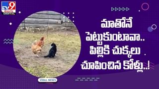 Viral Video: 84 ఏళ్ల వయస్సులో విమానం నడిపిన వృద్ధురాలు.. వీడియో