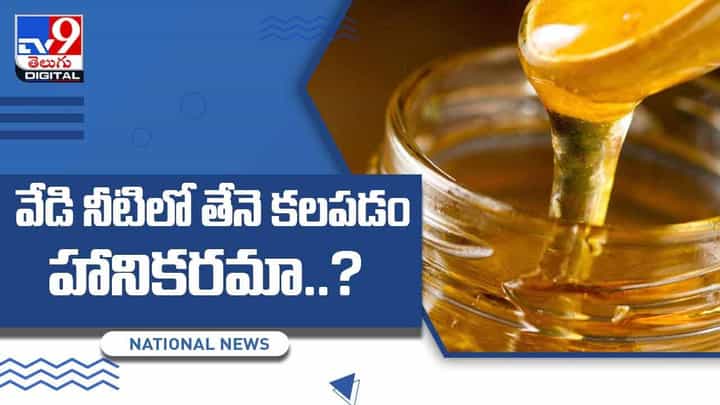 Honey In Warm Water: గోరు వెచ్చని నిమ్మరసం నీటిలో తేనె కలపకూడదా? వీడియో Honey In Warm Water: గోరు వెచ్చని నిమ్మరసం నీటిలో తేనె కలపకూడదా? వీడియో