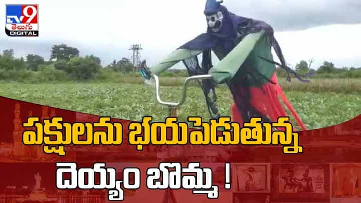 Viral Video: పక్షులను భయపెడుతున్న దెయ్యం బొమ్మ.. వీడియో Viral Video: పక్షులను భయపెడుతున్న దెయ్యం బొమ్మ.. వీడియో