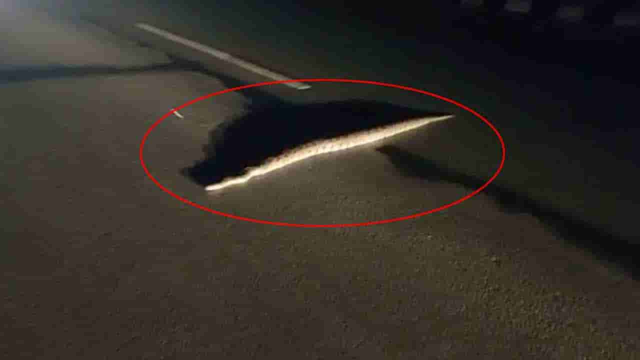 Huge python: నడిరోడ్డుపై 12 అడుగుల పొడవైన కొండచిలువ.. షాక్ తిన్న వాహనదారులు.. Watch Video