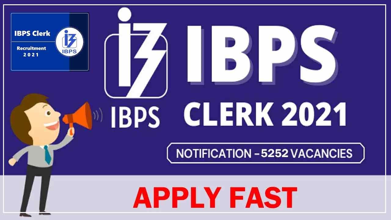 IBPS Clerk 2021 Recruitment: 11 బ్యాంకుల్లో ఉద్యోగ భర్తీ.. దరఖాస్తు చేసుకున్నారా.. గడువు ముగుస్తోంది..