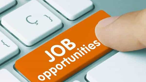 Jobs in Apple Company: ప్రముఖ సాఫ్ట్వేర్ కంపెనీలో ఉద్యోగాలు...పూర్తి వివరాలివే...