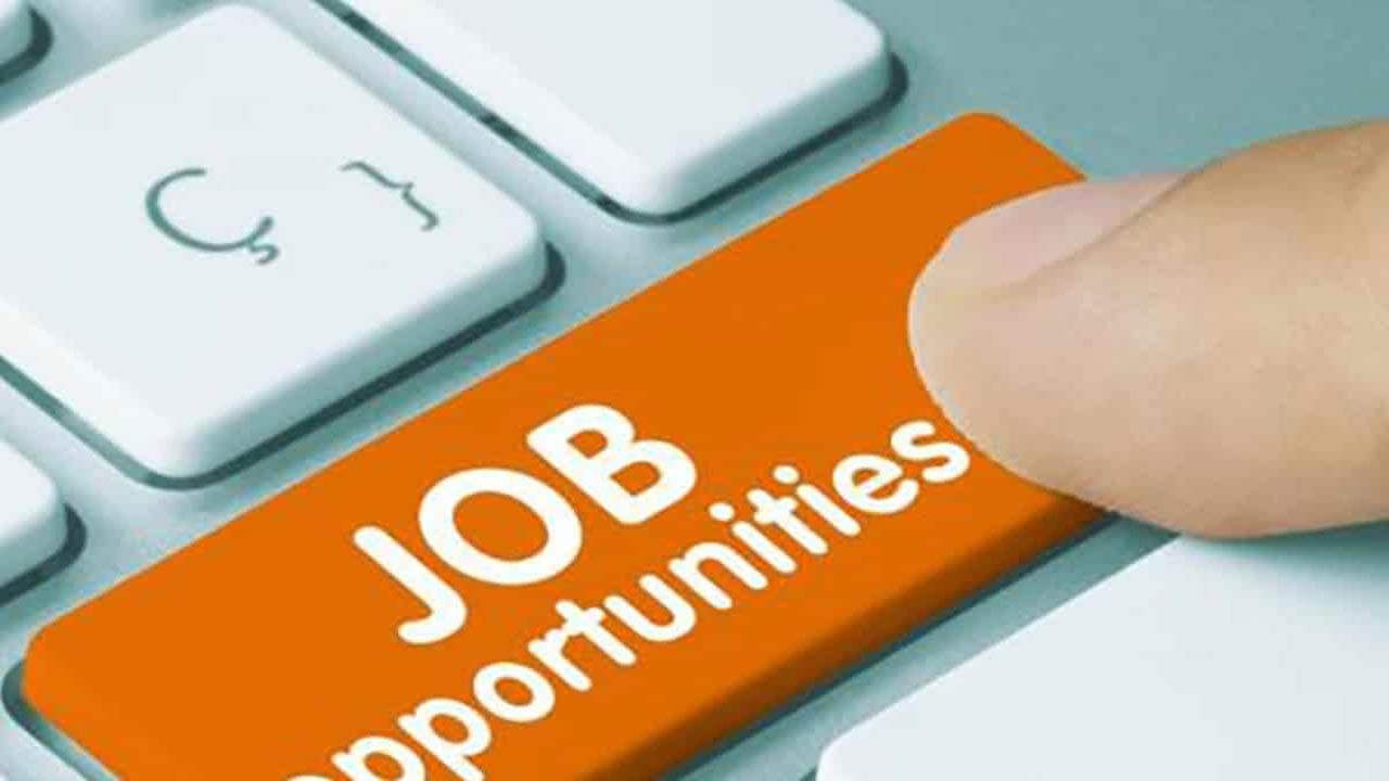 Jobs In Hyderabad: నిరుద్యోగులకు గుడ్‌న్యూస్‌..4 వేలకు పైగా ఉద్యోగాలతో జాబ్‌ మేళా.. పూర్తి వివరాలివే..