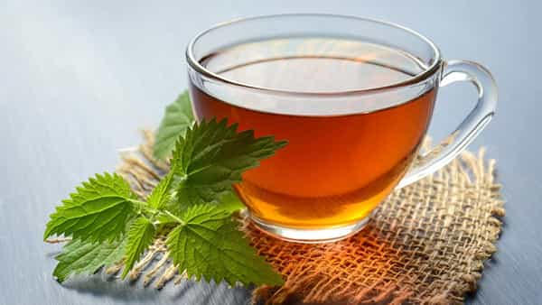 Health Tips: వర్షాకాలంలో ఈ కషాయాలతో ఇన్ఫెక్షన్లకు చెక్.. అవెంటో తెలుసుకోండి..
