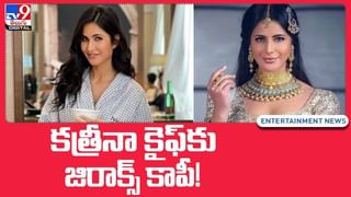 Pushpa: పుష్ప సినిమాలో విలన్ పాత్రపై క్రేజీ టాక్..! వీడియో