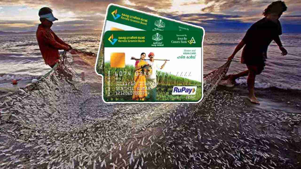 Kisan Credit Cards: కిసాన్ క్రెడిట్ కార్డుల విషయంలో కేంద్రం మరో సంచలన నిర్ణయం.. ఇకపై వారికి కూడా..